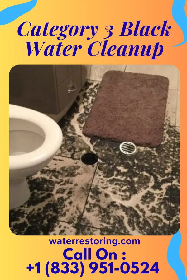 Category 3 Black Water Cleanup in Zavalla, TX