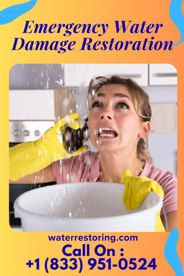 Emergency Water Damage Restoration in Zavalla, TX