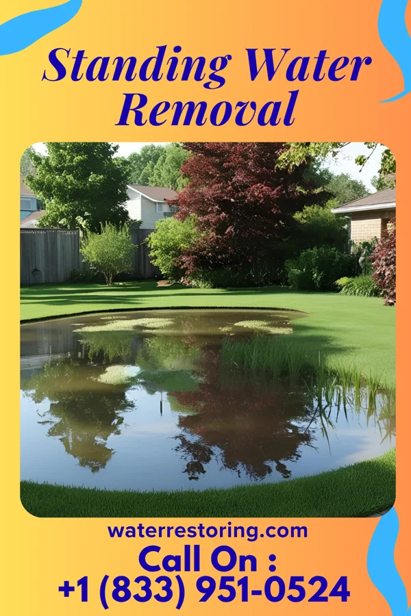 Standing Water Removal in Zavalla, TX